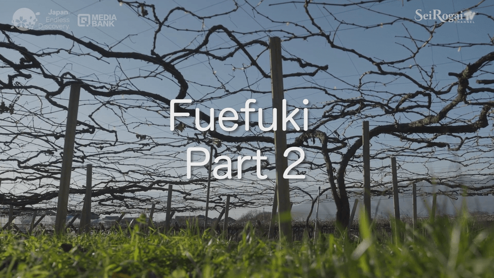 Fuefuki Part-2