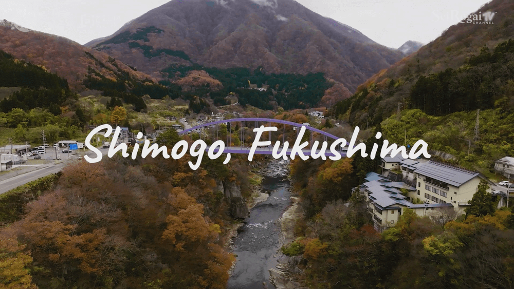 Shimogo Promotion