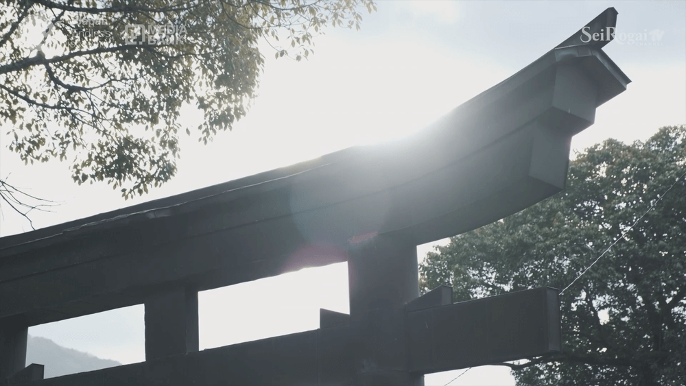 Tokushima – Part 1